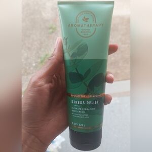 Bath & Body Works Aromatherapy Eucalyptus & Spearmint Body Cream